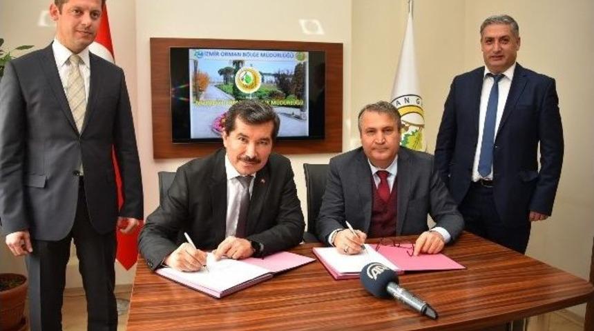 Yunusemre&rsquo;de 1 Milyon Fidan Toprakla Buluşacak