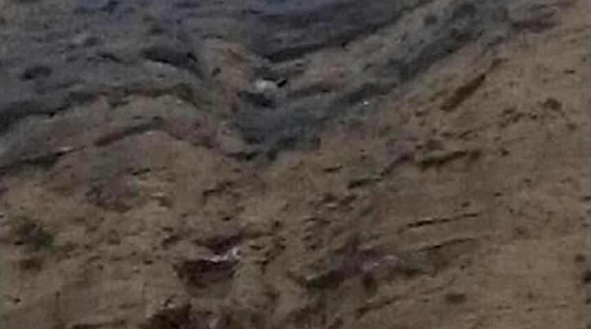 Kayalıklarda Mahsur Kalan Ke&ccedil;i Itfaiyenin &Ccedil;alışmasıyla Kurtuldu