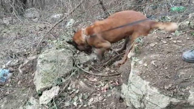 Uludağ’da Ormanlık Alana Gömülü 99 Kilo Uyuşturucu Çıktı