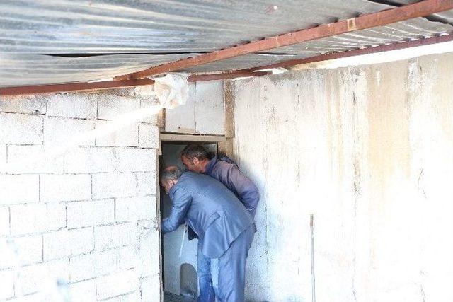 Şırnak&rsquo;ta Kanat T&uuml;yleri Kesilen 14 Tura&ccedil; Kuşu Bulundu 1