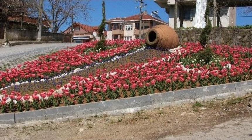 Ak&ccedil;akoca Lale Bah&ccedil;esine D&ouml;nd&uuml;