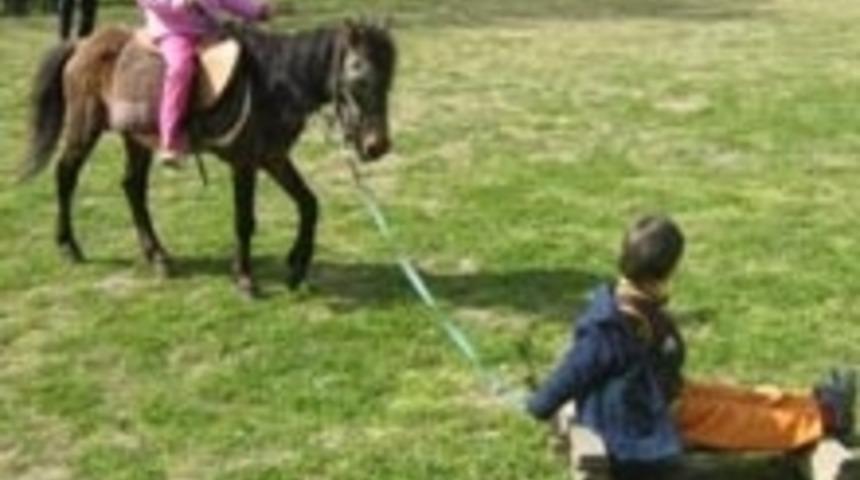 The Children&rsquo;s University