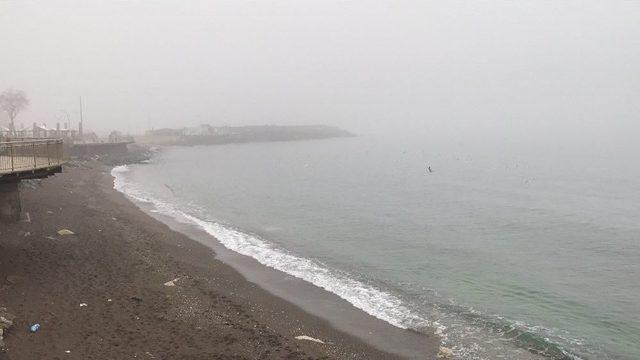 Batı Karadeniz’de Yoğun Sis