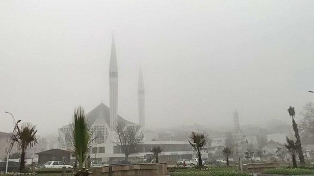 Batı Karadeniz’de Yoğun Sis