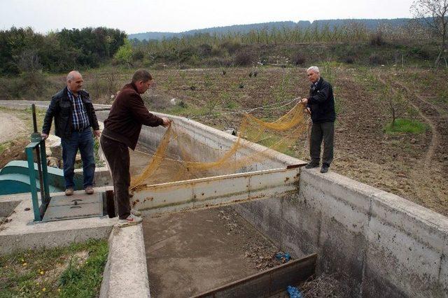 Hızlı Domuz, Görevlileri Perişan Etti