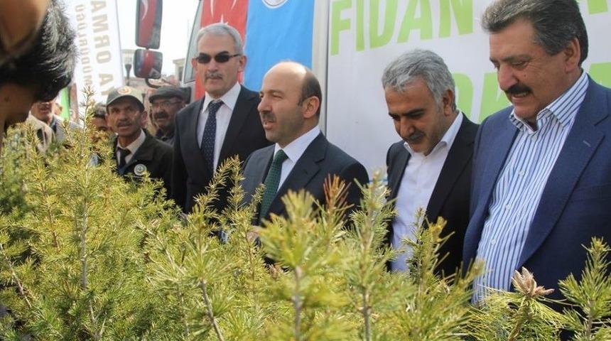 Cihanbeyli İl&ccedil;esinde Fidan Dikim Etkinliği