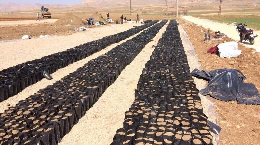 Gerc&uuml;ş&rsquo;te &Ccedil;ift&ccedil;i Eğitim &Ccedil;iftliği İnşaatına Başlandı