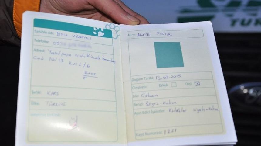 Kars&rsquo;ta Apartman Bah&ccedil;esinde K&ouml;pek Besleme Tartışması Karakolda Bitti