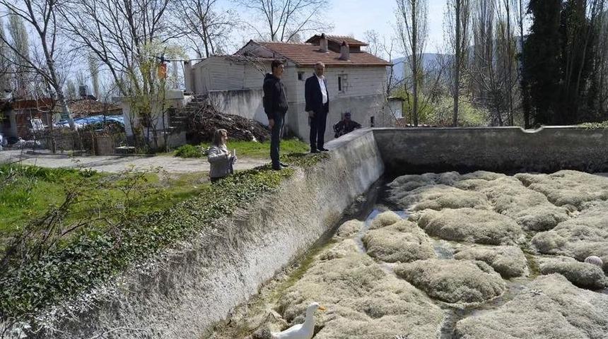 Mezarlık Sulama Havuzunda Genel Temizlik