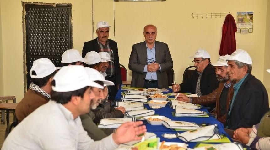 Lice&rsquo;de Organik Tarımın 2&rsquo;inci Etabı Başladı