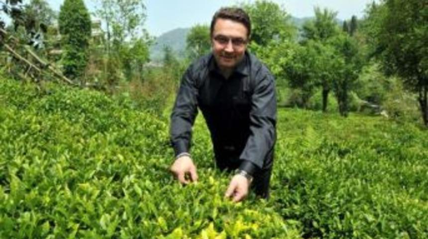 Mehmet Erdoğan: D&uuml;nyada Organik &Ccedil;ay &Uuml;reten Tek &Uuml;lke Olacağız