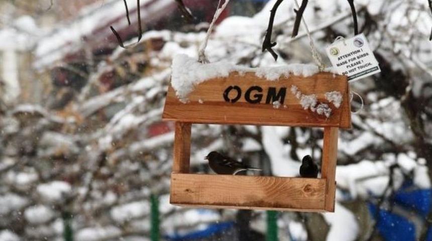 Artvin&rsquo;de Kuşlar İ&ccedil;in Suni Yuva