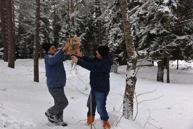 Artvin’de Kuşlar İçin Suni Yuva