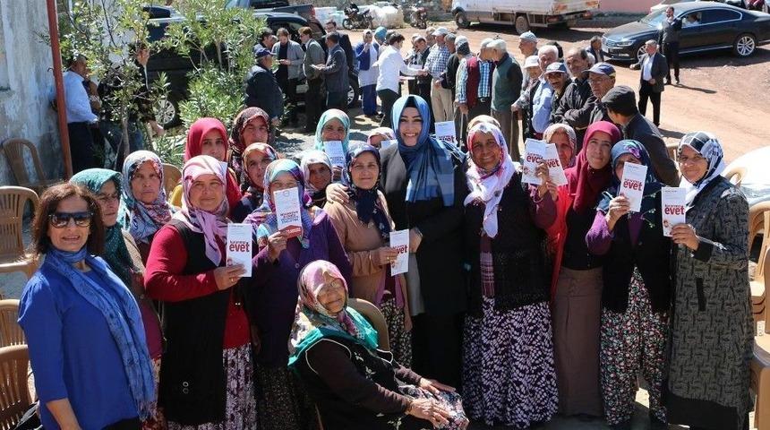 Halk Oylamasına Doğru