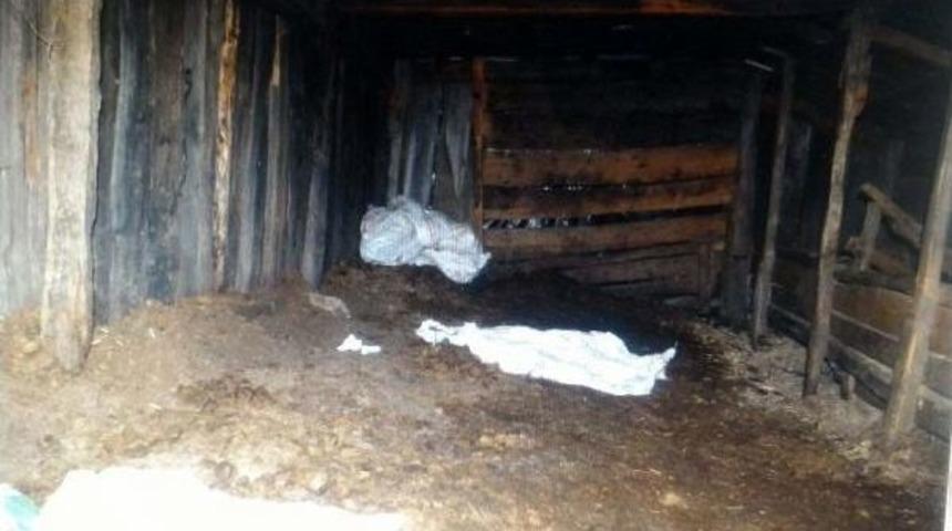 Helenistik D&ouml;nem'e Ait 1 Milyon Liralık M&uuml;cevher Ele Ge&ccedil;irildi