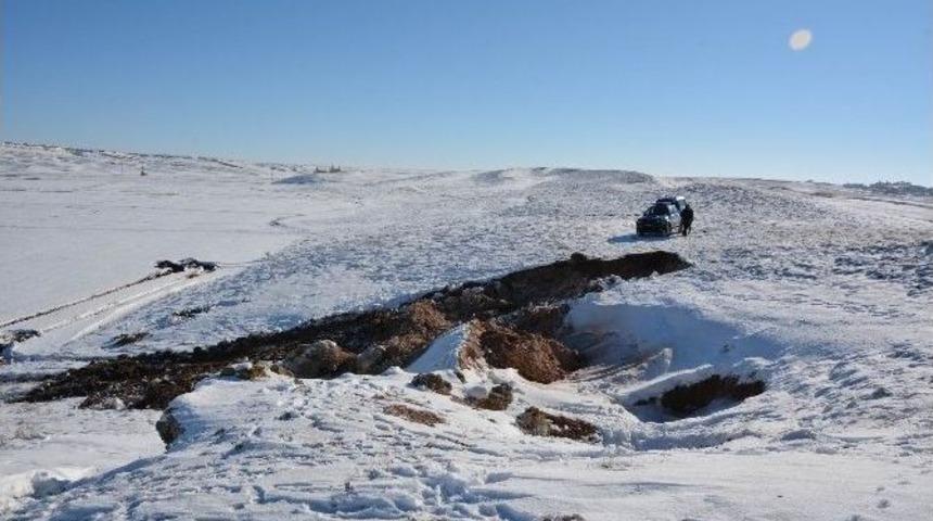 Define Arayan 6 Kişi Yakalandı