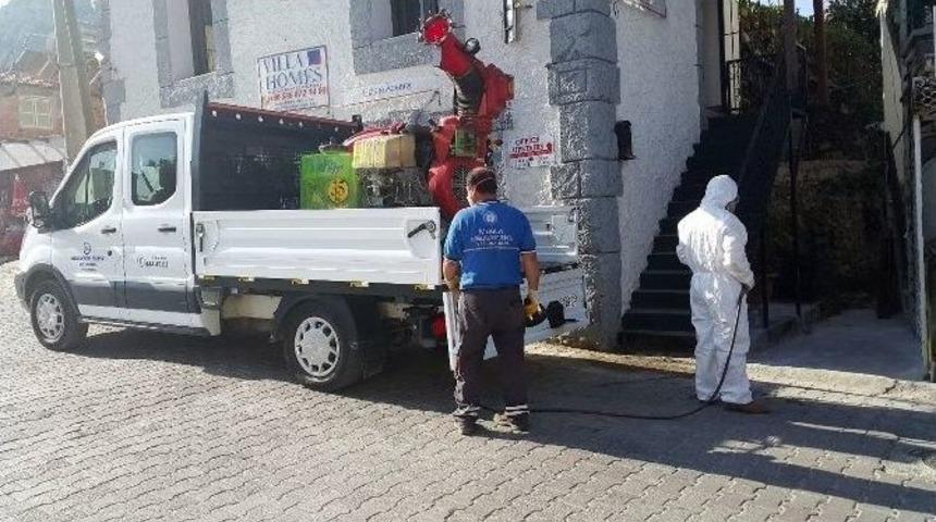 Vekt&ouml;rle M&uuml;cadelede Yaz Hazırlıkları S&uuml;r&uuml;yor