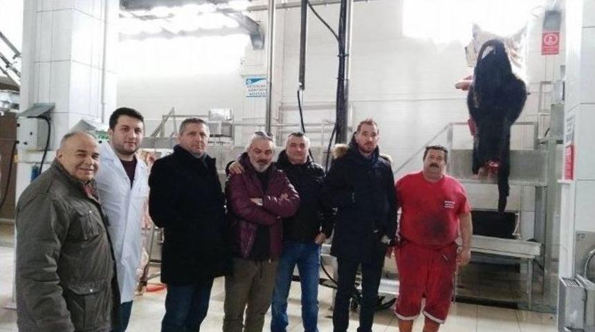 Pazaryeri Mezbahasına Avrupa&rsquo;dan Misafir