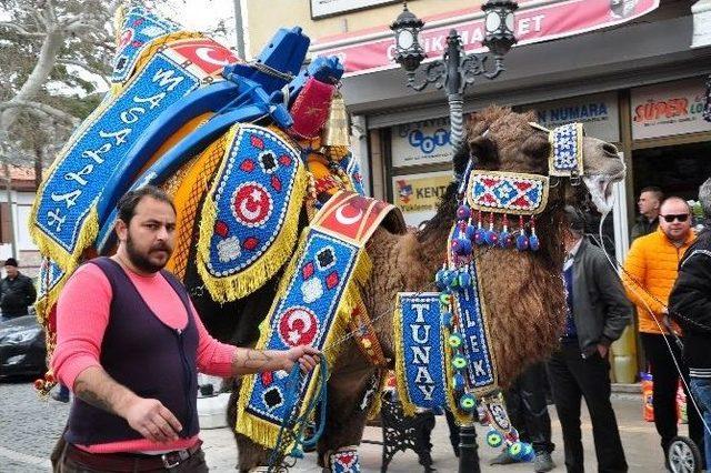 Pehlivan Develer Milas’ta Görücüye Çıktı