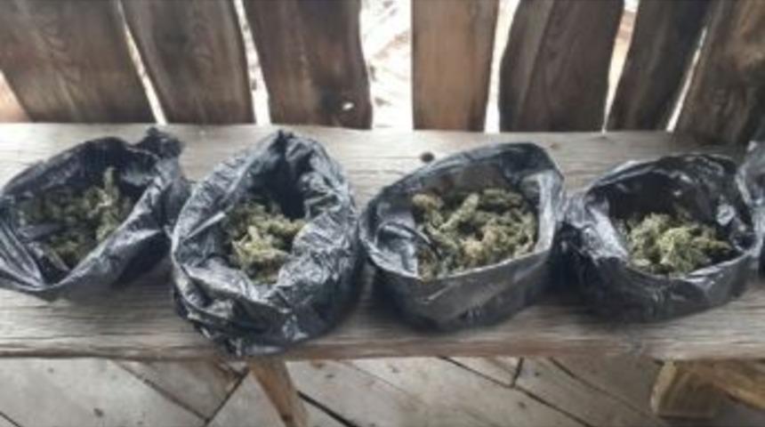 Manisa&rsquo;da Esrar Operasyonu