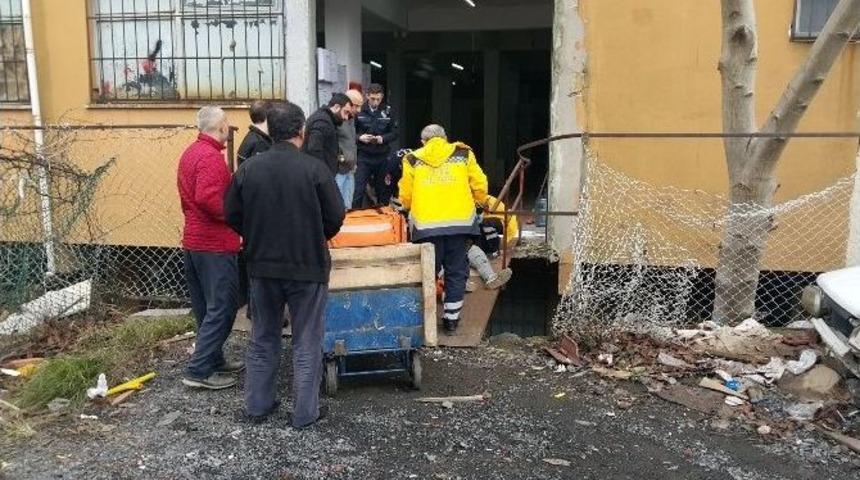 (&ouml;zel Haber) 200 Kiloluk Panonun Altında Kalmaktan Son Anda Kurtuldu