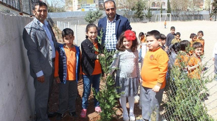 Minik &Ouml;ğrenciler Fidanları Toprakla Buluşturdu