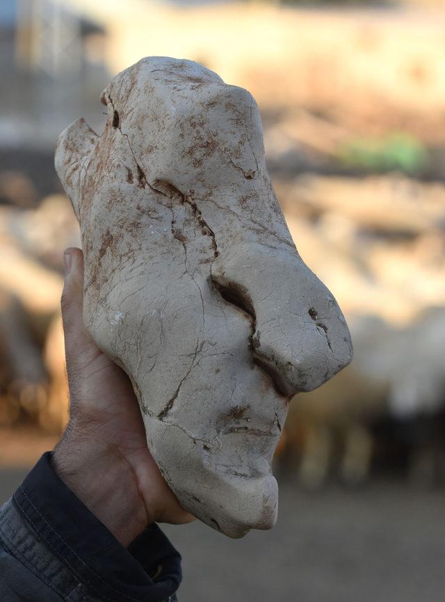 Çoban Ahmet, ikinci 'İnsansı Taşlar Müzesi' hazırlığında