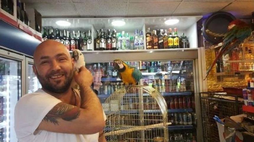 &Ccedil;alınan Papağanına Kavuştu