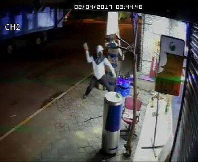 &Ccedil;alınan Papağanına Kavuştu 2