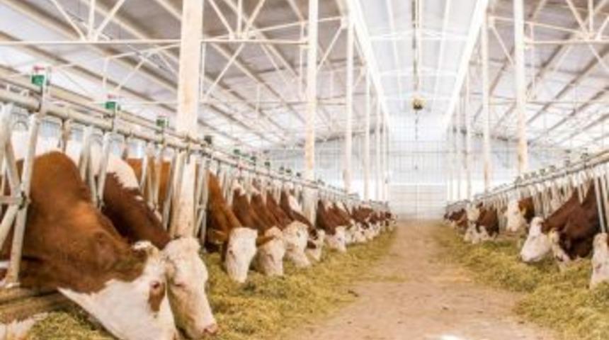 Tkdk, Ipard Iı Programı Birinci &Ccedil;ağrı Sonu&ccedil;larını A&ccedil;ıkladı