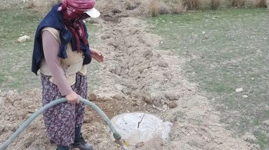 Dağıtılan Fidanların Takibi Yapılıyor