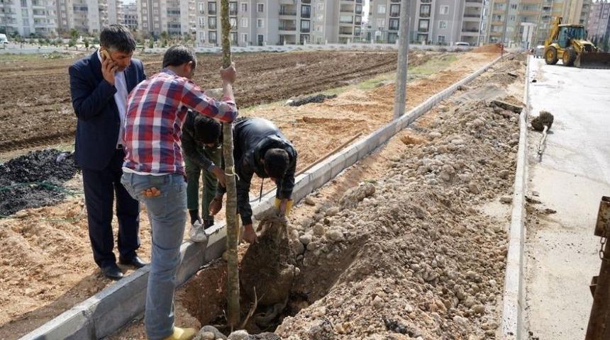 Adıyaman&rsquo;da Kaldırım Ve Ağa&ccedil;landırma &Ccedil;alışması