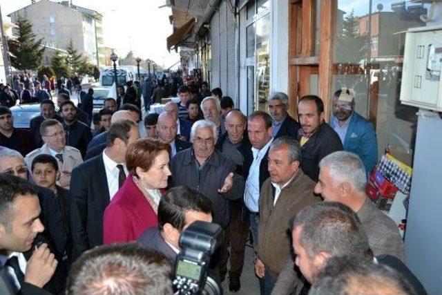 Meral Akşener, Ahlat'ta Türbe Ziyareti Yaptı