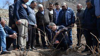 Bağlarda Budama Ve Terbiye Sistemleri Eğitimi