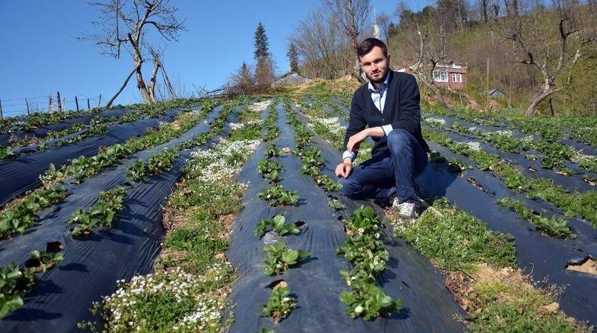 Tarıma Uygun Olmayan Bah&ccedil;esini &Ccedil;ilek Tarlasına D&ouml;n&uuml;şt&uuml;rd&uuml;