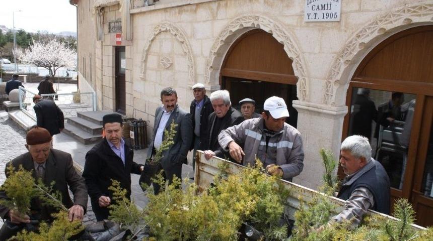 U&ccedil;hisar Belediyesi, &Uuml;cretsiz Fidan Dağıtımı Yaptı