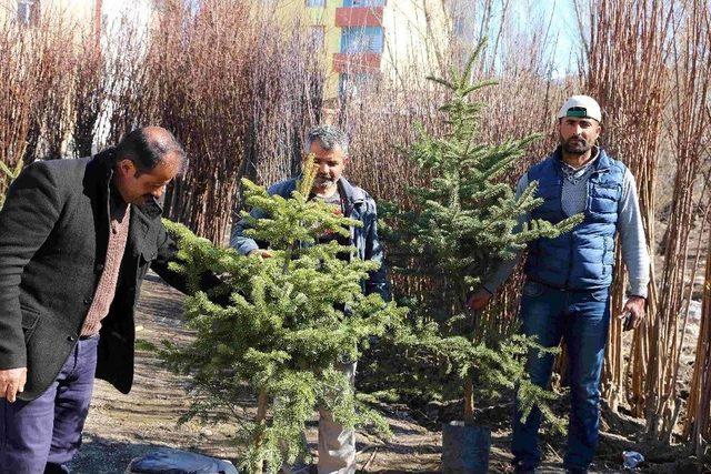 Varto’da Meyve Fidanı Satışı