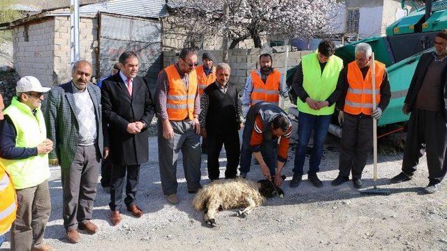 İl Özel İdaresi Asfalt Sezonuna Başladı