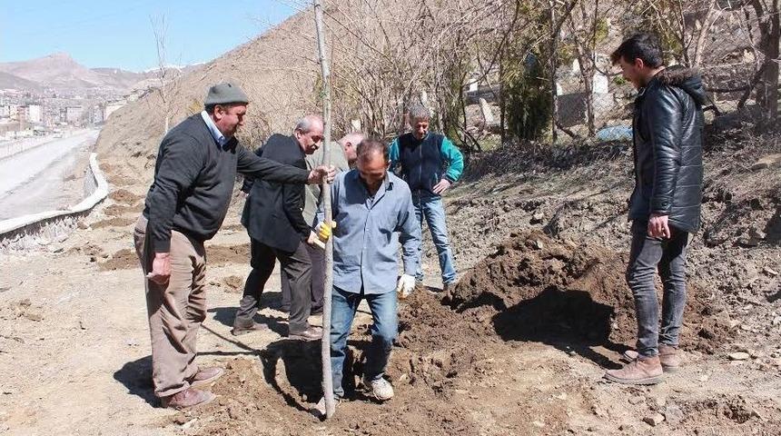 Hakkari&rsquo;de Ağa&ccedil;landırma &Ccedil;alışması