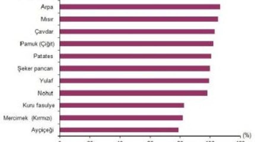 T&uuml;rkiye&rsquo;De Kişi Başına Yıllık Tahıl T&uuml;ketimi Y&uuml;zde 10 D&uuml;şt&uuml;