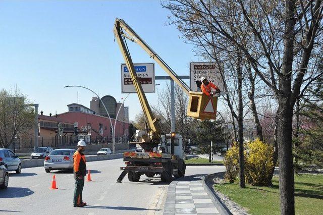 Büyükşehirden, Ağaçlara Bakım