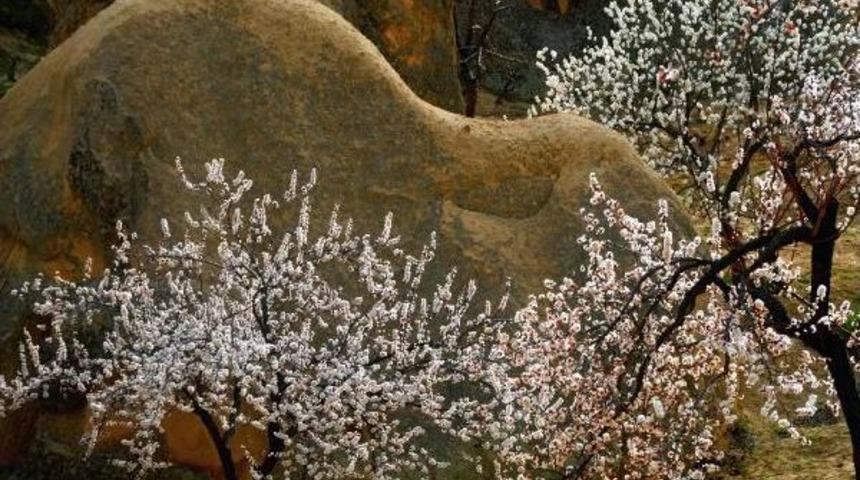 Kapadokya&rsquo;Da Peribacaları &Ccedil;i&ccedil;eklerle Bir Başka G&uuml;zel