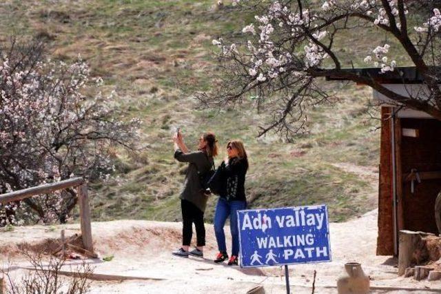 Kapadokya’Da Peribacaları Çiçeklerle Bir Başka Güzel