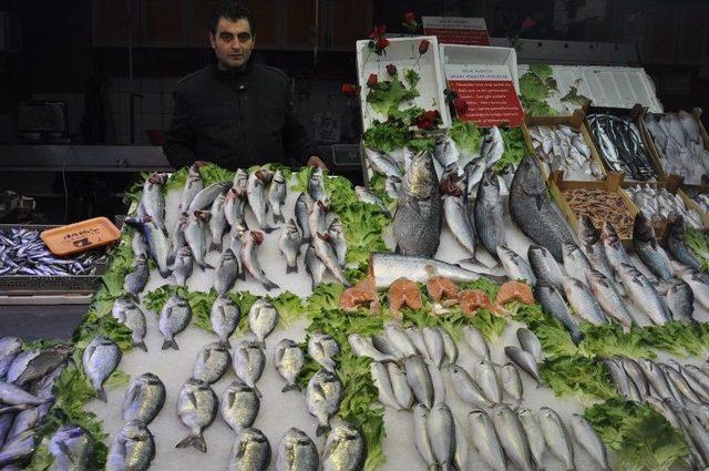 Taze Balık Mı, Dondurulmuş Balık Mı?