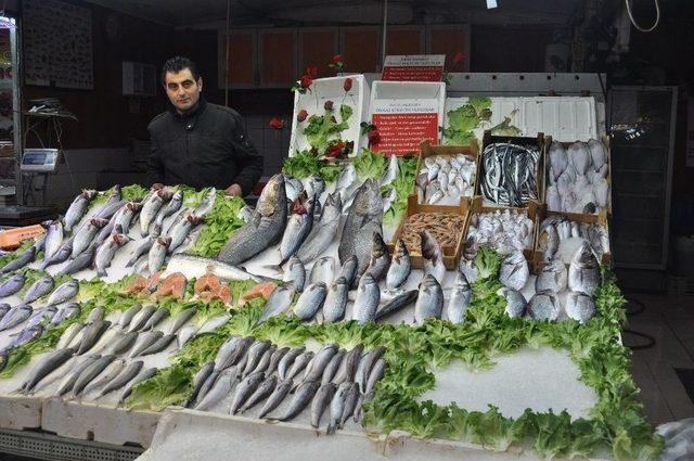 Taze Balık Mı, Dondurulmuş Balık Mı?