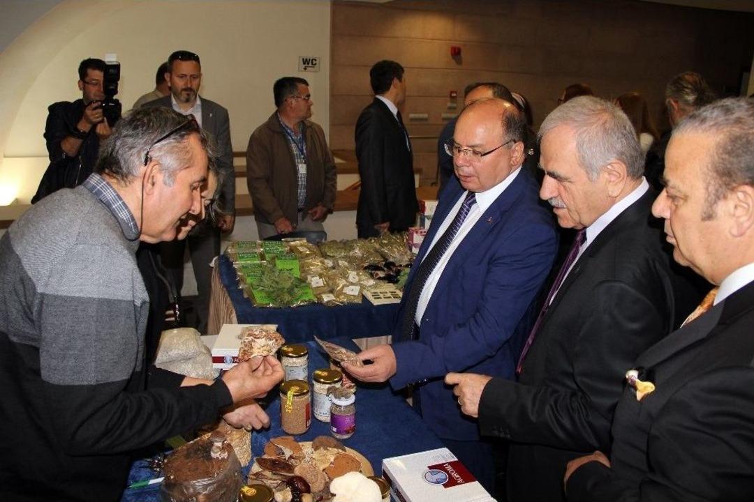 Muğla Valisi Amir &Ccedil;i&ccedil;ek;