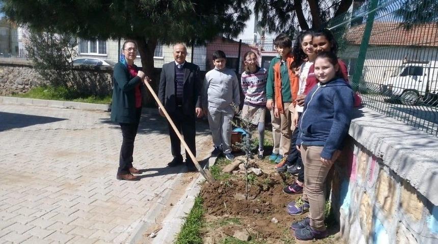 Okullarını Yeşillendirdiler