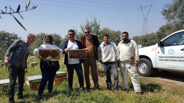 Büyükşehirden Arıcılara Büyük Destek