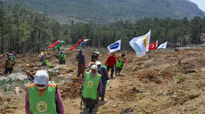 Silifke&rsquo;deki Maden Sahasına Bin 600 Fidan Dikildi