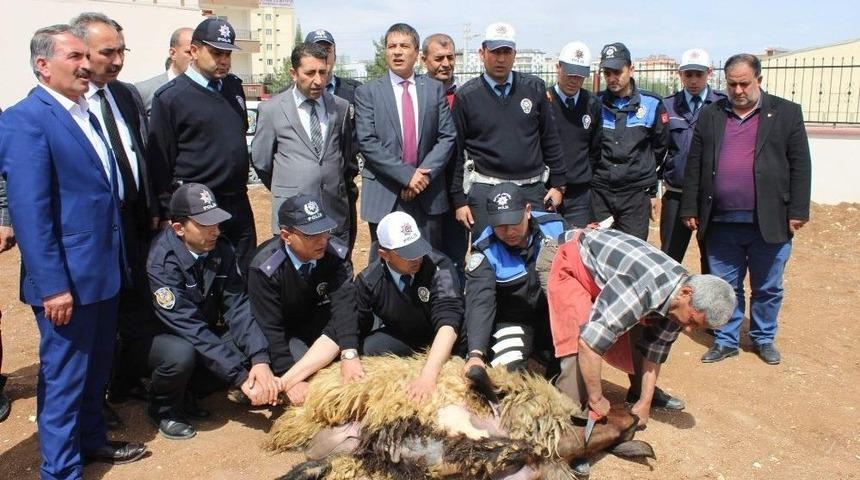 Polis Kazalara Karşı Kurban Kesti